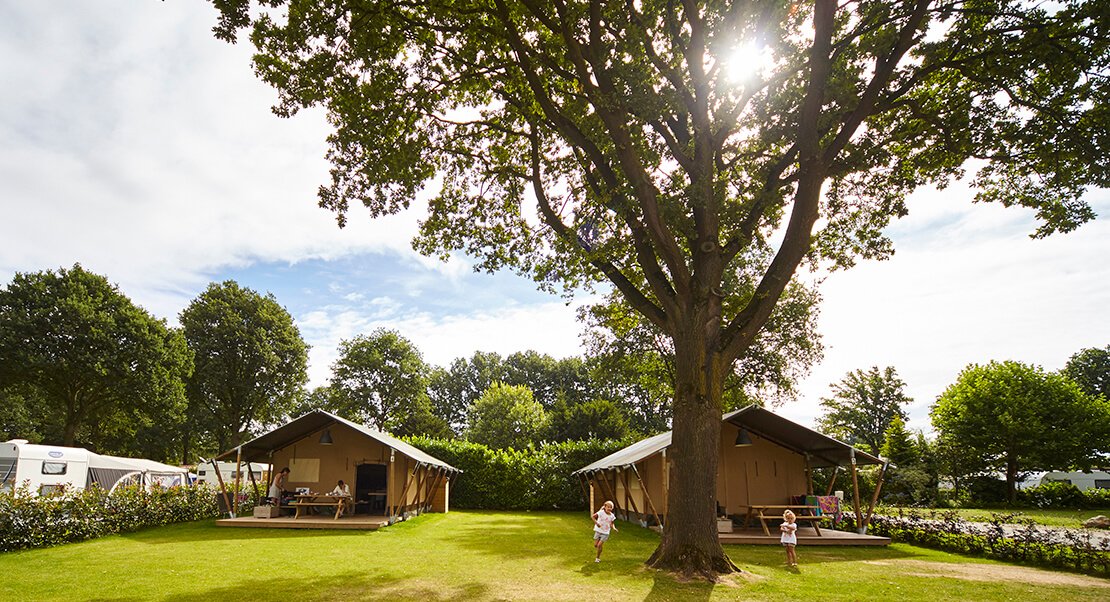 glamping tent luxe kamperen