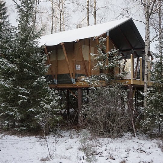 safaritent glamping kopen
