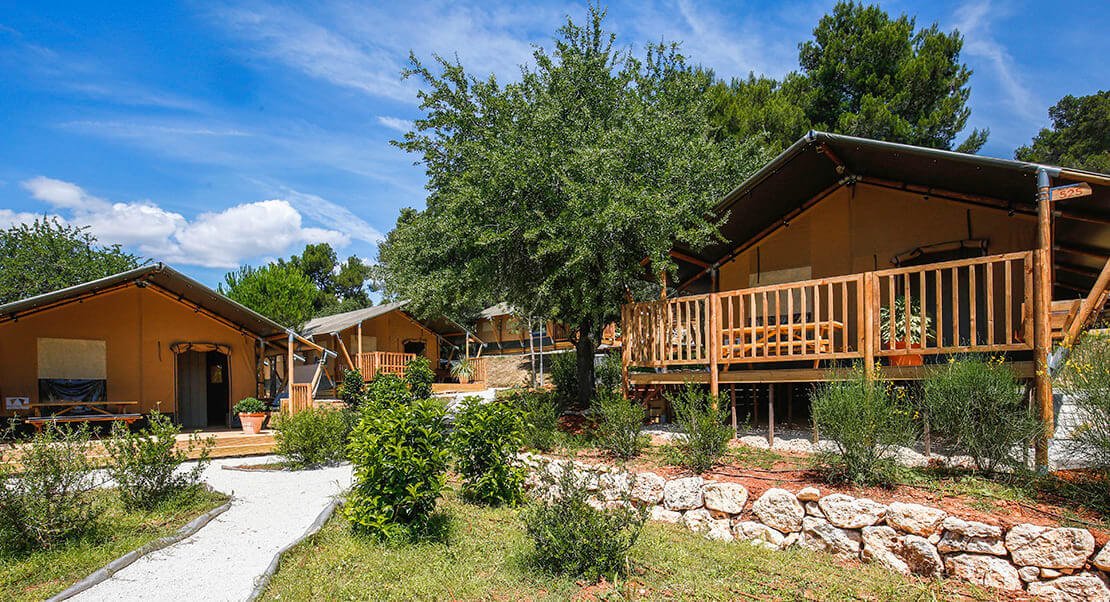 Glamping safaritent kopen