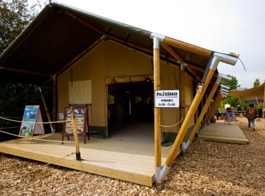 Safaritent Kopen Snackshop Thoiry Zoo
