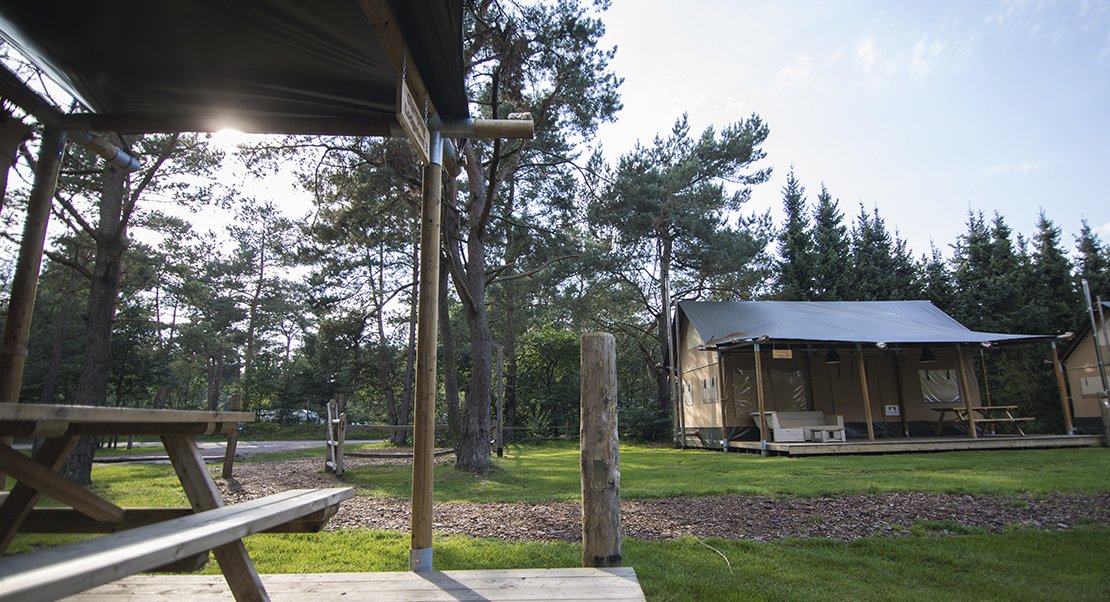 Safari lodge kopen