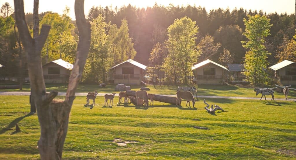 Givskud Zoo